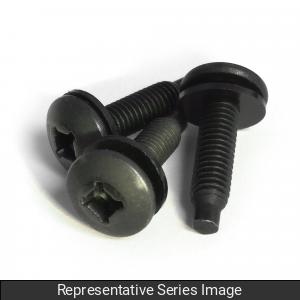 SCREW1032-10