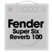 Fender Super Six Reverb 100*