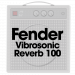 Fender Vibrosonic Reverb 100*