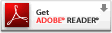 To Adobe Reader